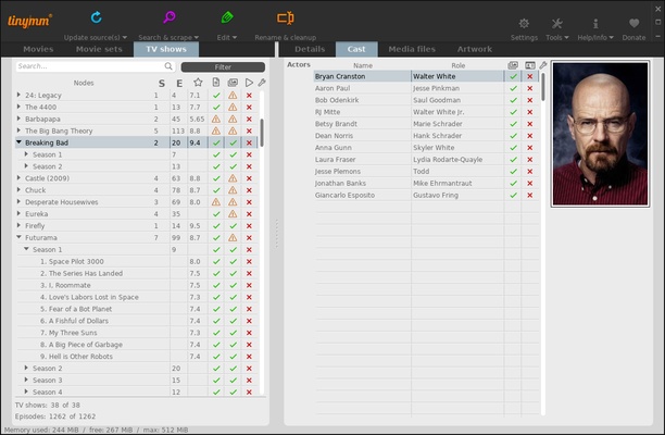 TinyMediaManager screenshot 1