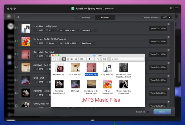 TunesBank Music Converter for Mac screenshot 1