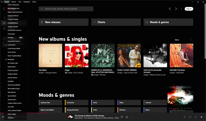 YouTube Music Desktop App (Unofficial) screenshot 1