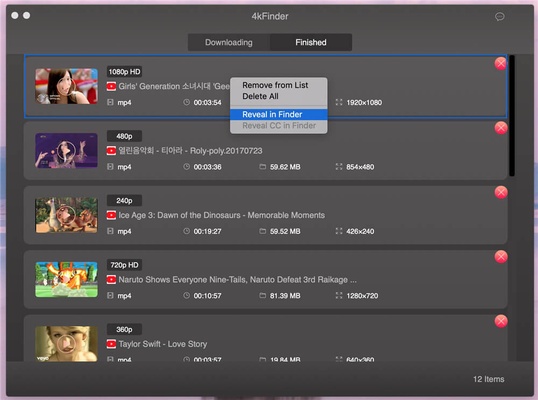4kFinder Video Downloader screenshot 1