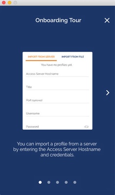 OpenVPN screenshot 1