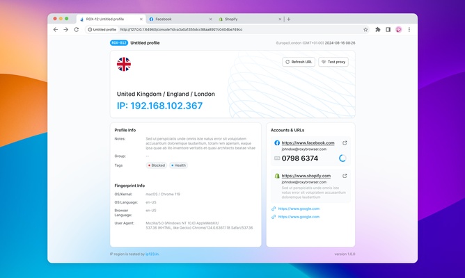 RoxyBrowser screenshot 1