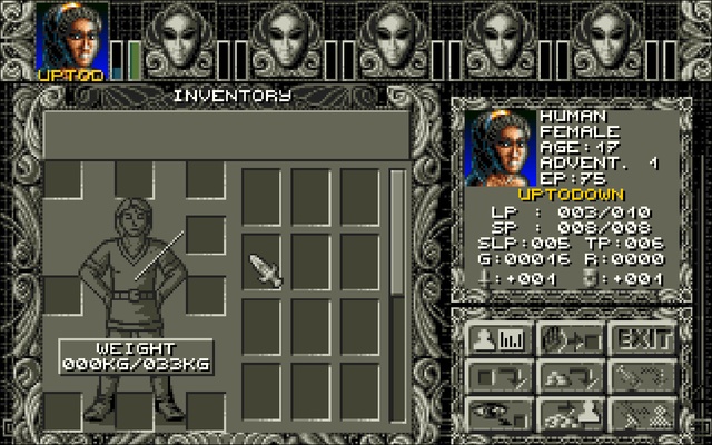 Ambermoon.NET screenshot 1