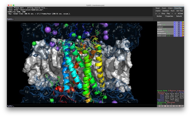 PyMOL screenshot 1