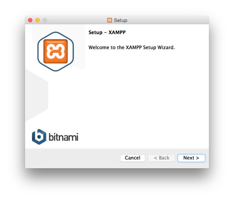XAMPP screenshot 1