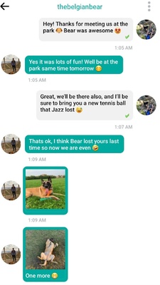 DogPack - Explore with the dog screenshot 1