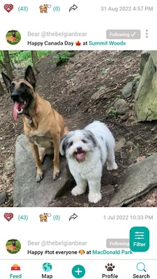 DogPack - Explore with the dog screenshot 1