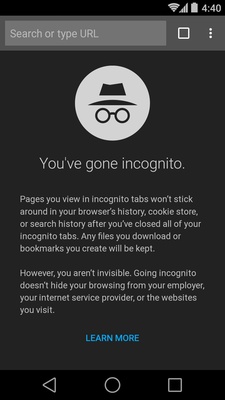 Chrome Canary screenshot 1