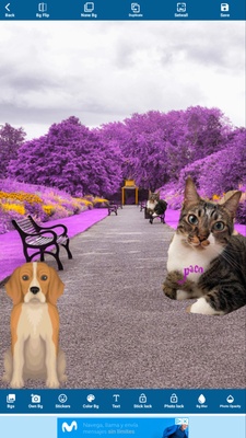 Garden Photo Editor screenshot 1