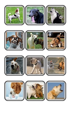 Dog Translator: Bark to Human screenshot 1