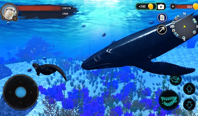 The Otter screenshot 1