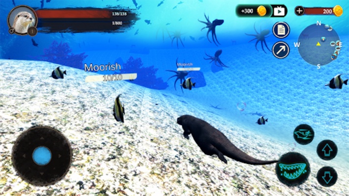 The Otter screenshot 1