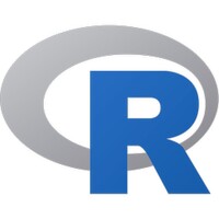 R icon