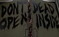 The Walking Dead Windows Theme icon