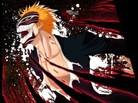 Bleach Windows Theme icon
