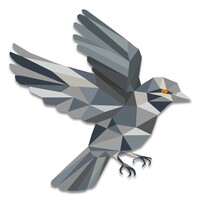 Sparrow Wallet icon