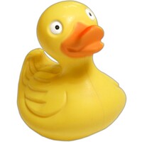 Cyberduck icon